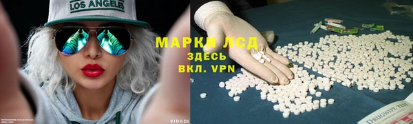 PSILOCYBIN Балахна