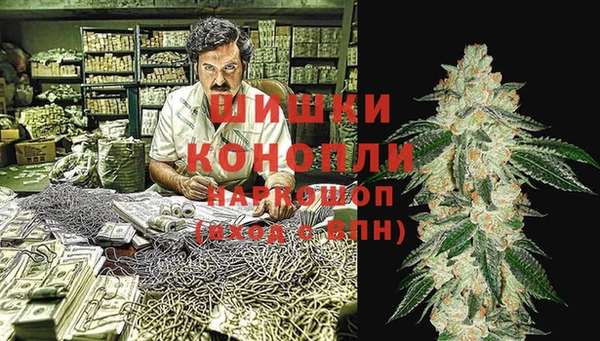 PSILOCYBIN Балахна