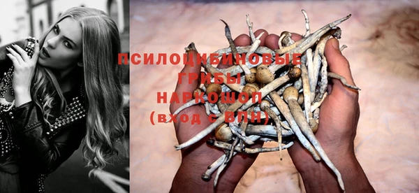 PSILOCYBIN Балахна