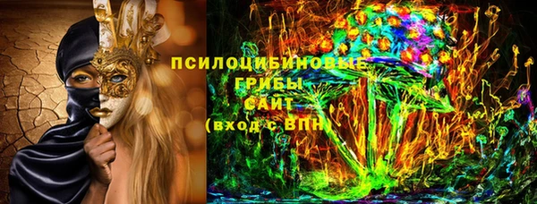 PSILOCYBIN Балахна