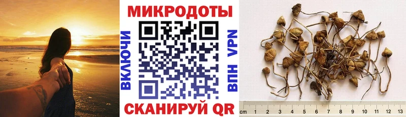 Галлюциногенные грибы MAGIC MUSHROOMS  Вязьма 